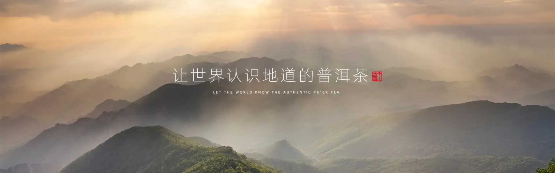 今大福普洱茶