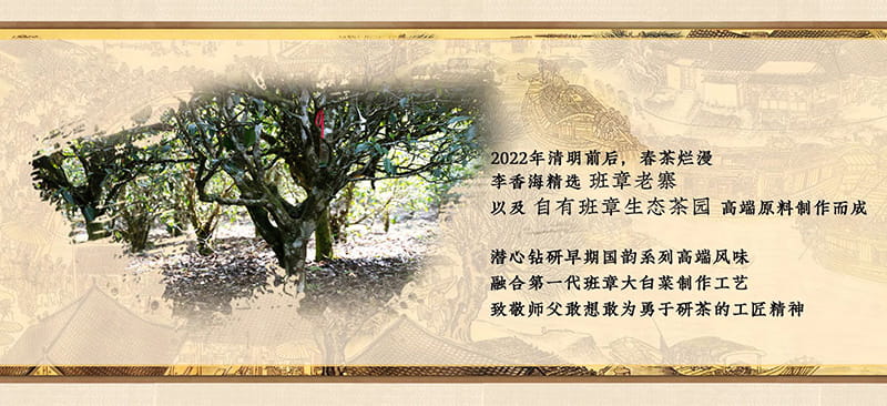 今大福2022年大国韵青饼