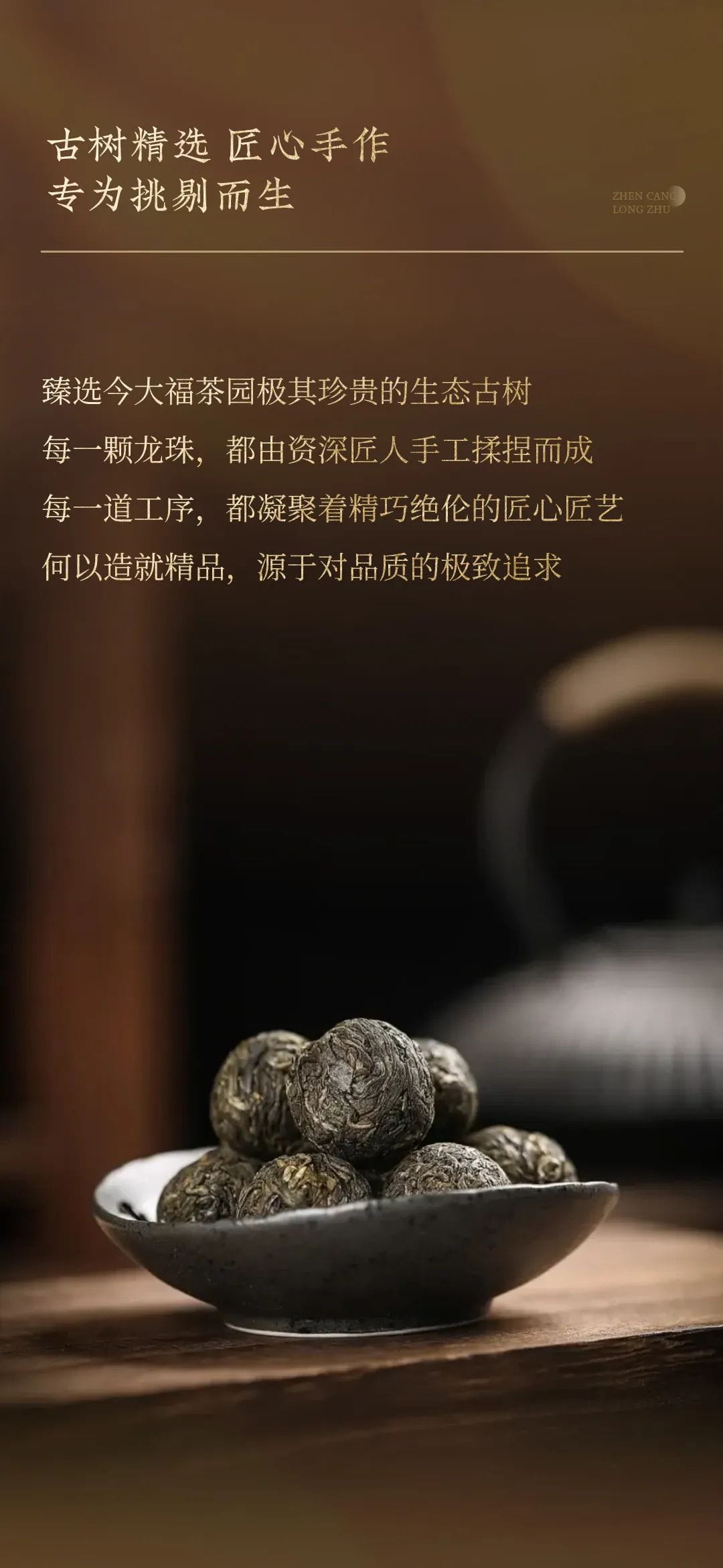 今大福2023年生态古树珍藏龙珠