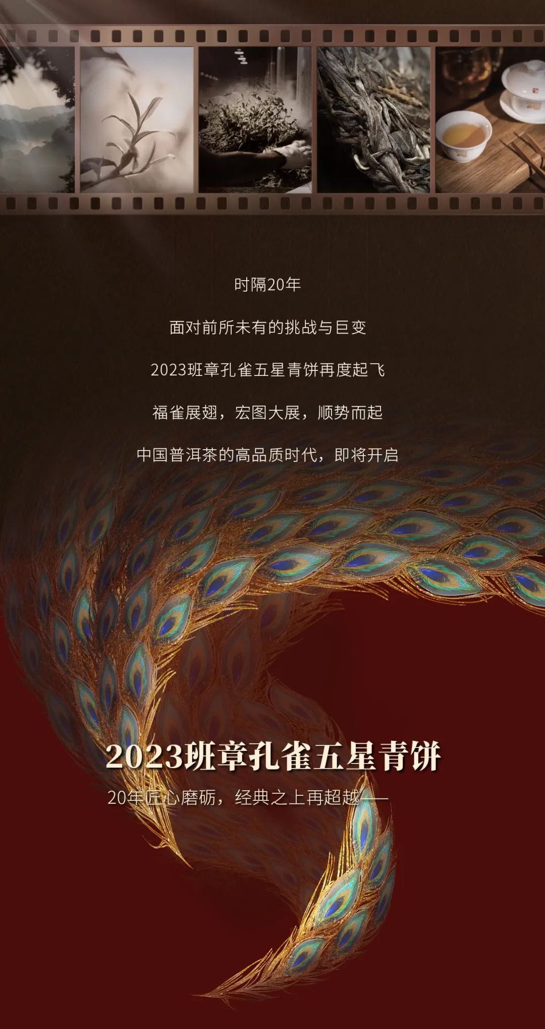 今大福2023年班章孔雀五星青饼