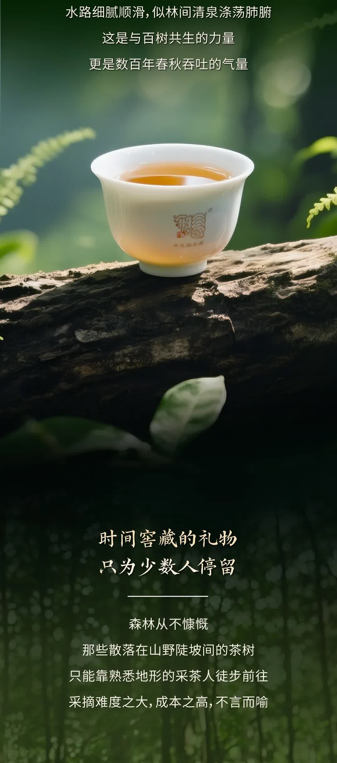 今大福2025年森林班章青饼” /><br /> </span> </p><p class=