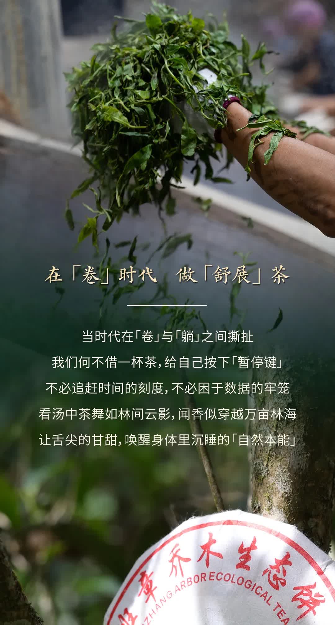 今大福2025年森林班章青饼” /><br /> </span> </p><p class=
