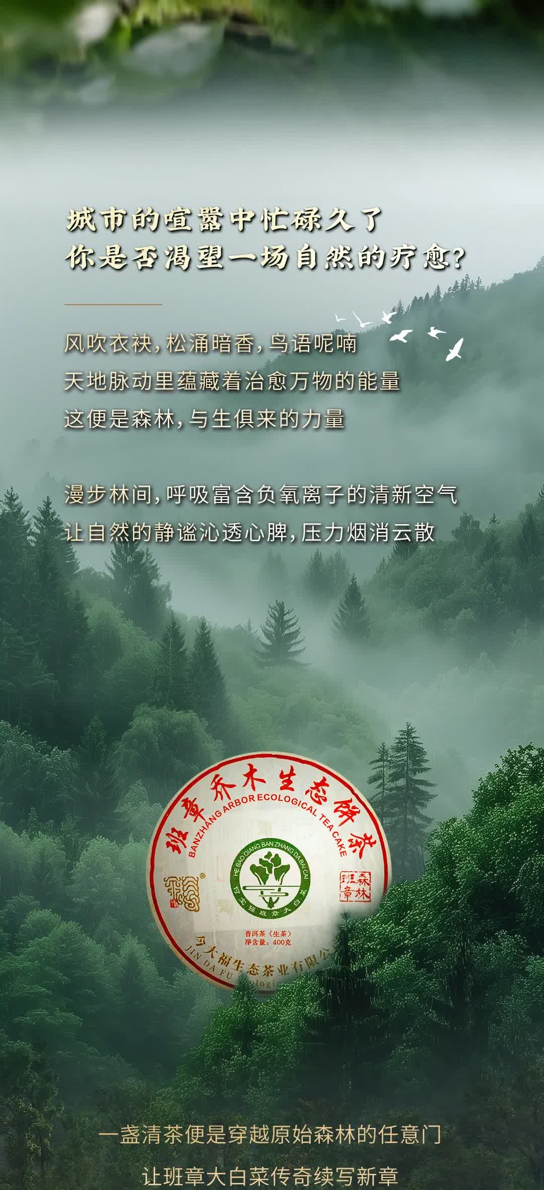 今大福2025年森林班章青饼” /><br /> </span> </p><p class=