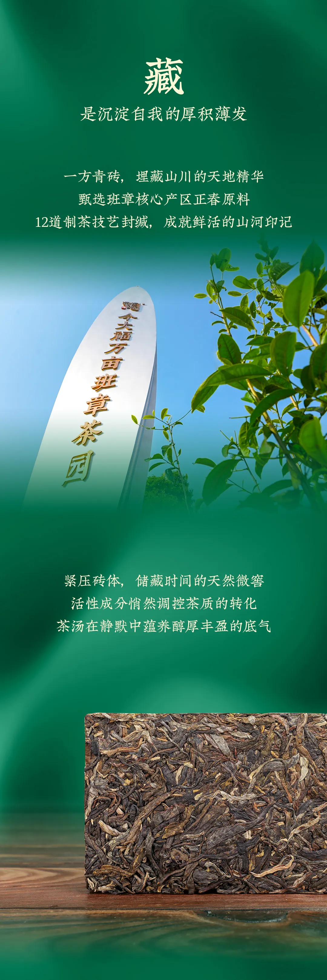 今大福2025年班章珍藏青砖