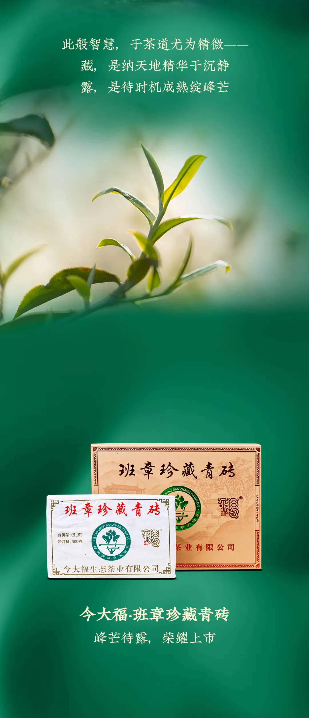 今大福2025年班章珍藏青砖