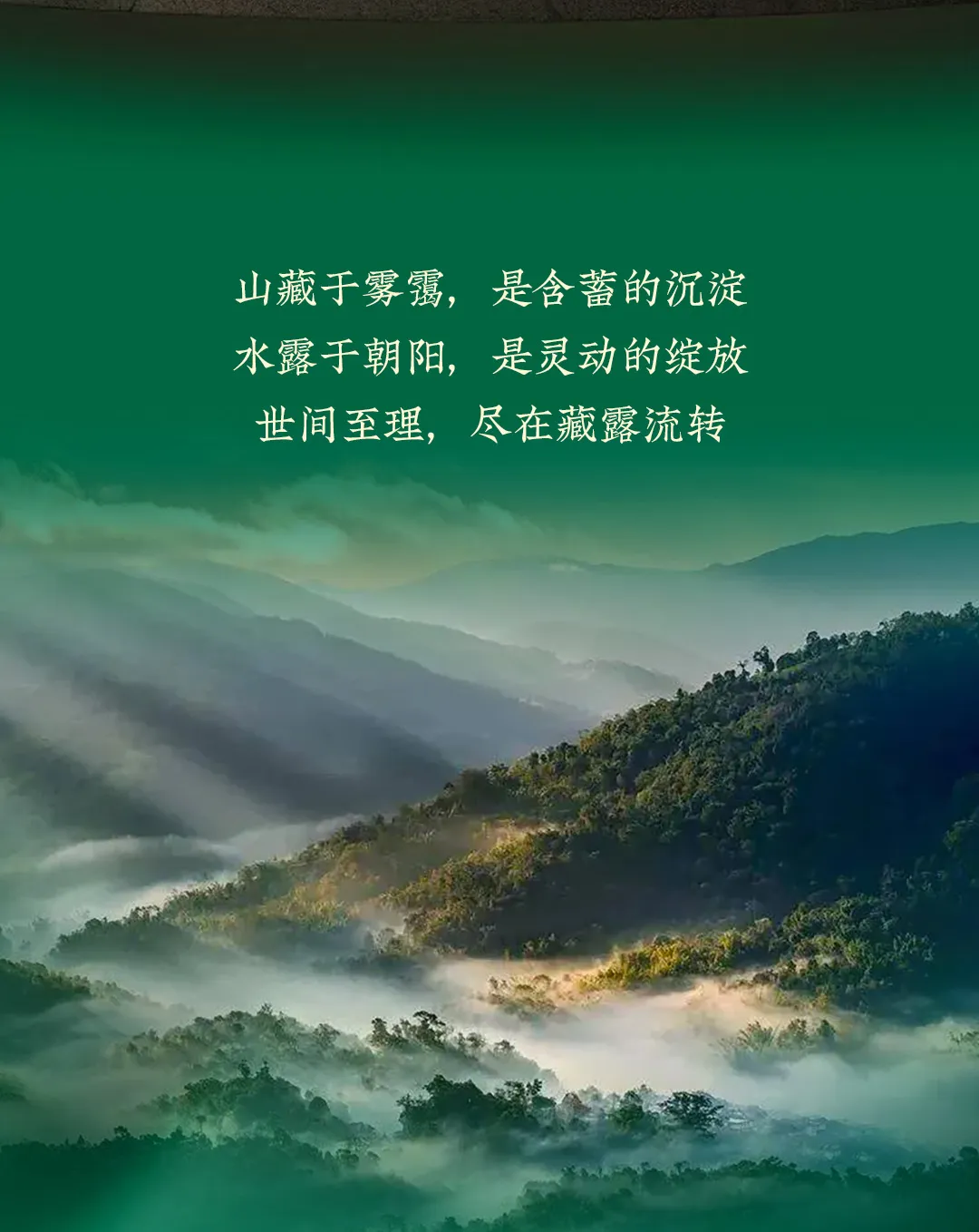 今大福2025年班章珍藏青砖