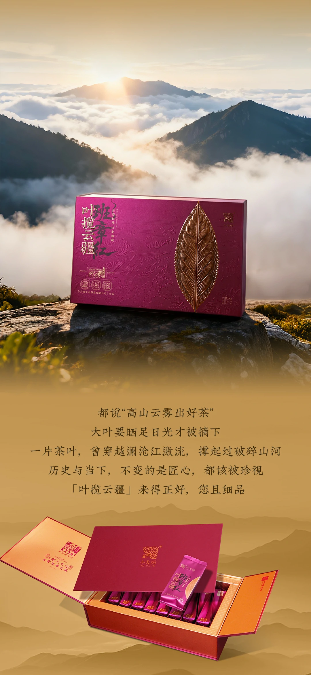 今大福2025年叶揽云疆班章红茶