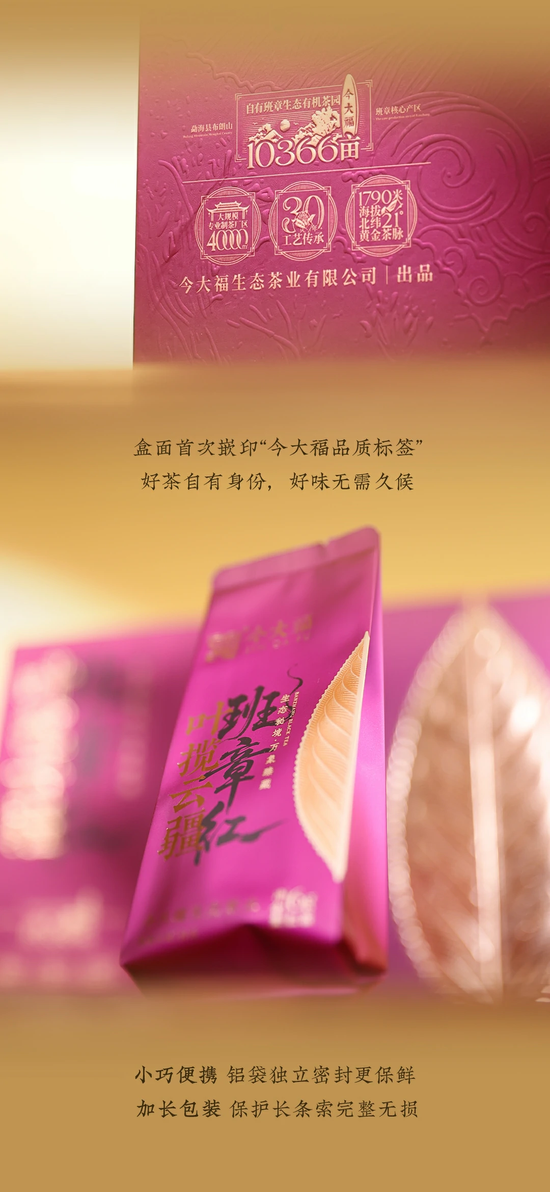 今大福2025年叶揽云疆班章红茶